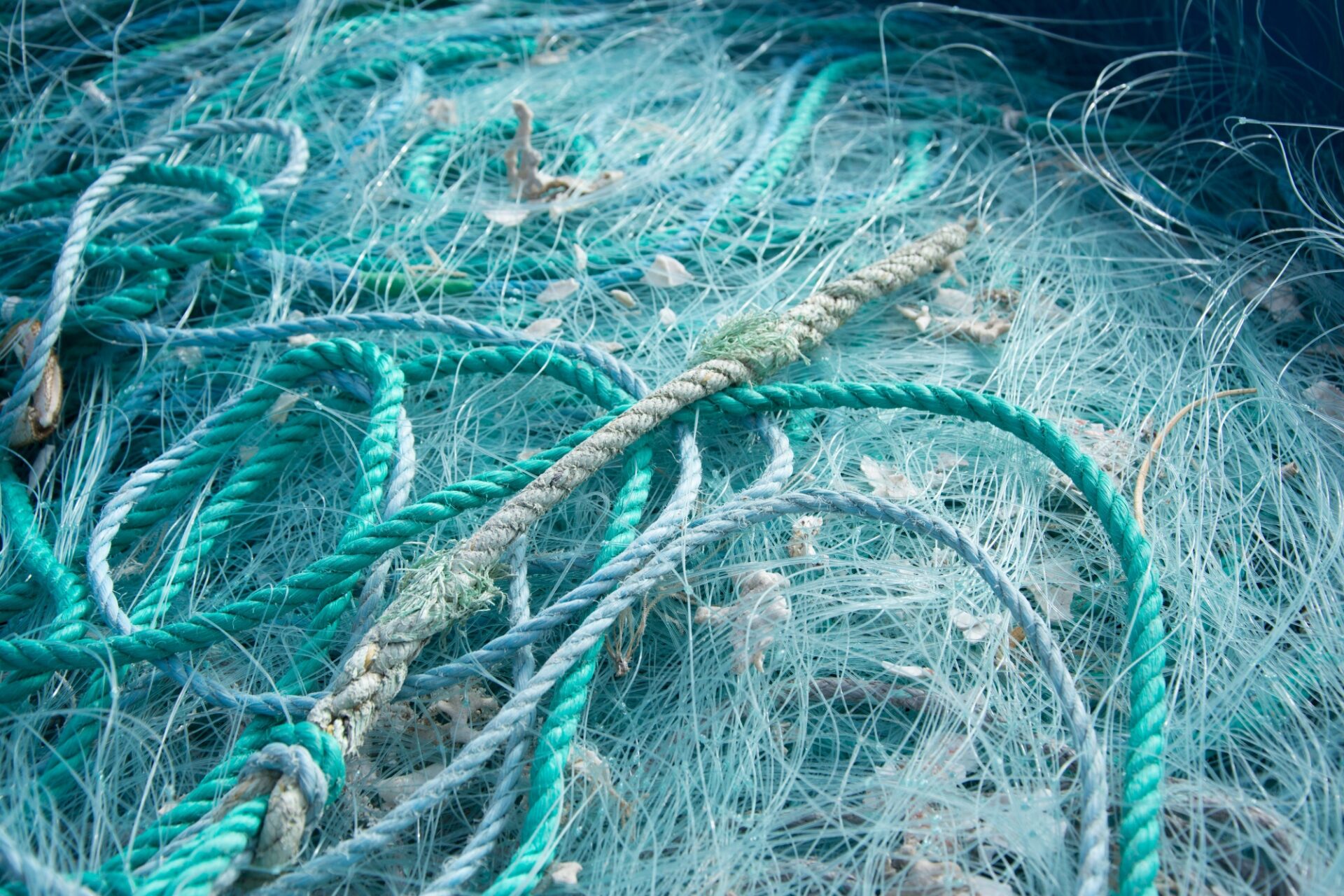 中国・長江に回復の兆し。｜10年漁業禁止で魚類倍増、絶滅危惧種も回復イメージ画像