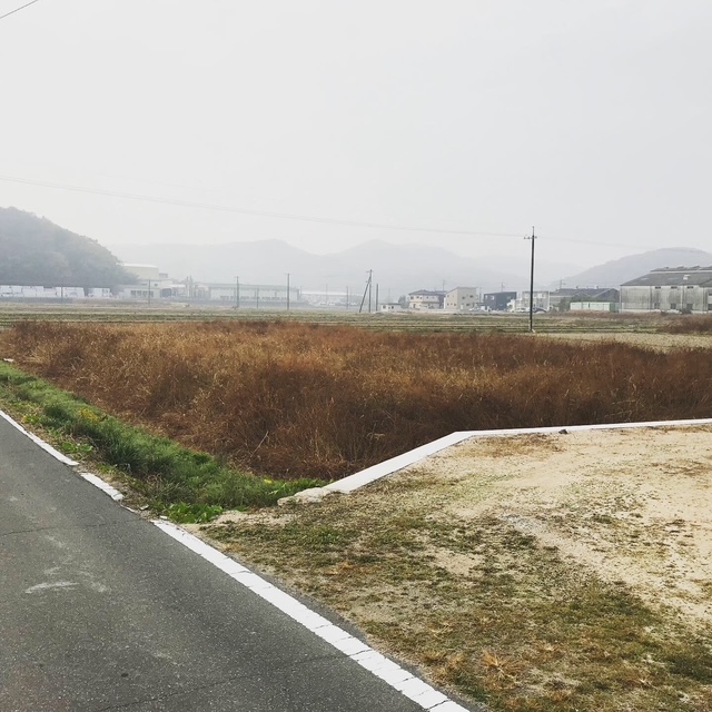 荒廃地から生まれた米を全国へ。｜おにぎり屋「穂の蔵」EC販売開始イメージ画像