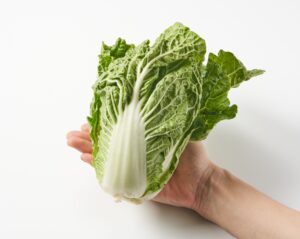オイシックス、水不足による規格外の｜「まいてない白菜」の販売開始