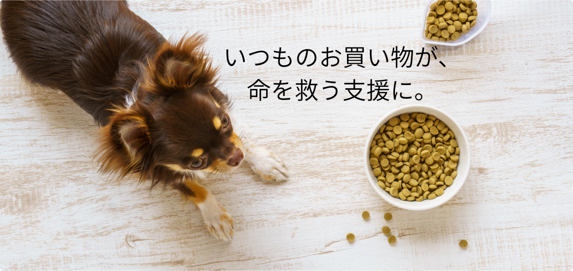 ペット用品の買い物を｜保護犬・猫の命につなげるECショップが誕生